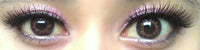 Flash Fairy Bella Hazel (2 lenses/pack)-Colored Contacts-UNIQSO