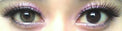 Flash Fairy Juliet Brown (2 lenses/pack)-Colored Contacts-UNIQSO