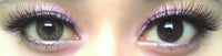 Flash Fairy Juliet Brown (2 lenses/pack)-Colored Contacts-UNIQSO