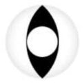 Coscon Crazy with Power - Viper (1 lens/pack)-Crazy Contacts-UNIQSO