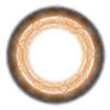 ICK Petal Brown (1 lens/pack)-Colored Contacts-UNIQSO