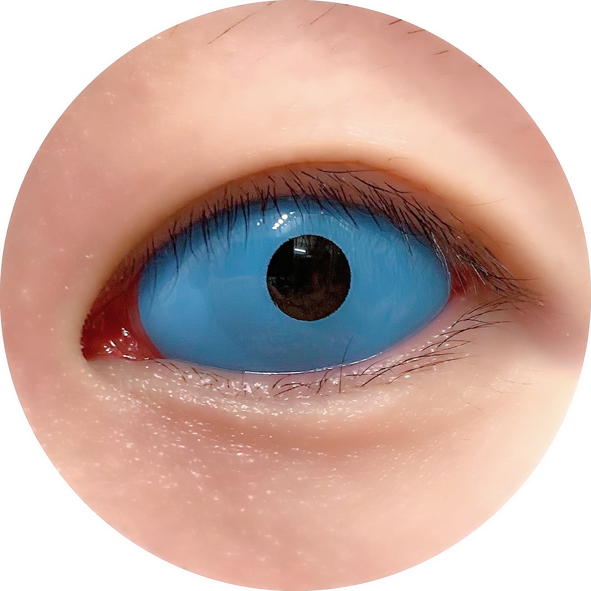 Pale Blue Sclera Contacts Sclera Contacts Blue UNIQSO