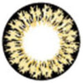 Kawayii S-Max Brown (1 lens/pack)-Colored Contacts-UNIQSO