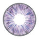 Kazzue Legacy Violet (1 lens/pack)-Colored Contacts-UNIQSO