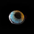 Sweety Anime Shining Heart Blue Brown (1 lens/pack)-Colored Contacts-UNIQSO