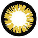 Sweety Crazy BT Yellow (1 lens/pack)-Crazy Contacts-UNIQSO