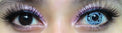 Sweety Crazy Cyborg (1 lens/pack)-Crazy Contacts-UNIQSO