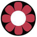 Sweety Crazy Pink Flower (1 lens/pack)-Crazy Contacts-UNIQSO
