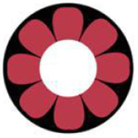 Sweety Crazy Pink Flower (1 lens/pack)-Crazy Contacts-UNIQSO