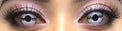 Sweety Crazy RY108 - Stitch (1 lens/pack)-Crazy Contacts-UNIQSO