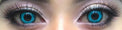 Sweety Crazy Undead Fusion Blue (1 lens/pack)-Crazy Contacts-UNIQSO