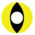 Sweety Crazy Yellow Cat (1 lens/pack)-Crazy Contacts-UNIQSO