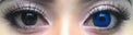 Sweety Crazy Hell Reaper (1 lens/pack)-Crazy Contacts-UNIQSO