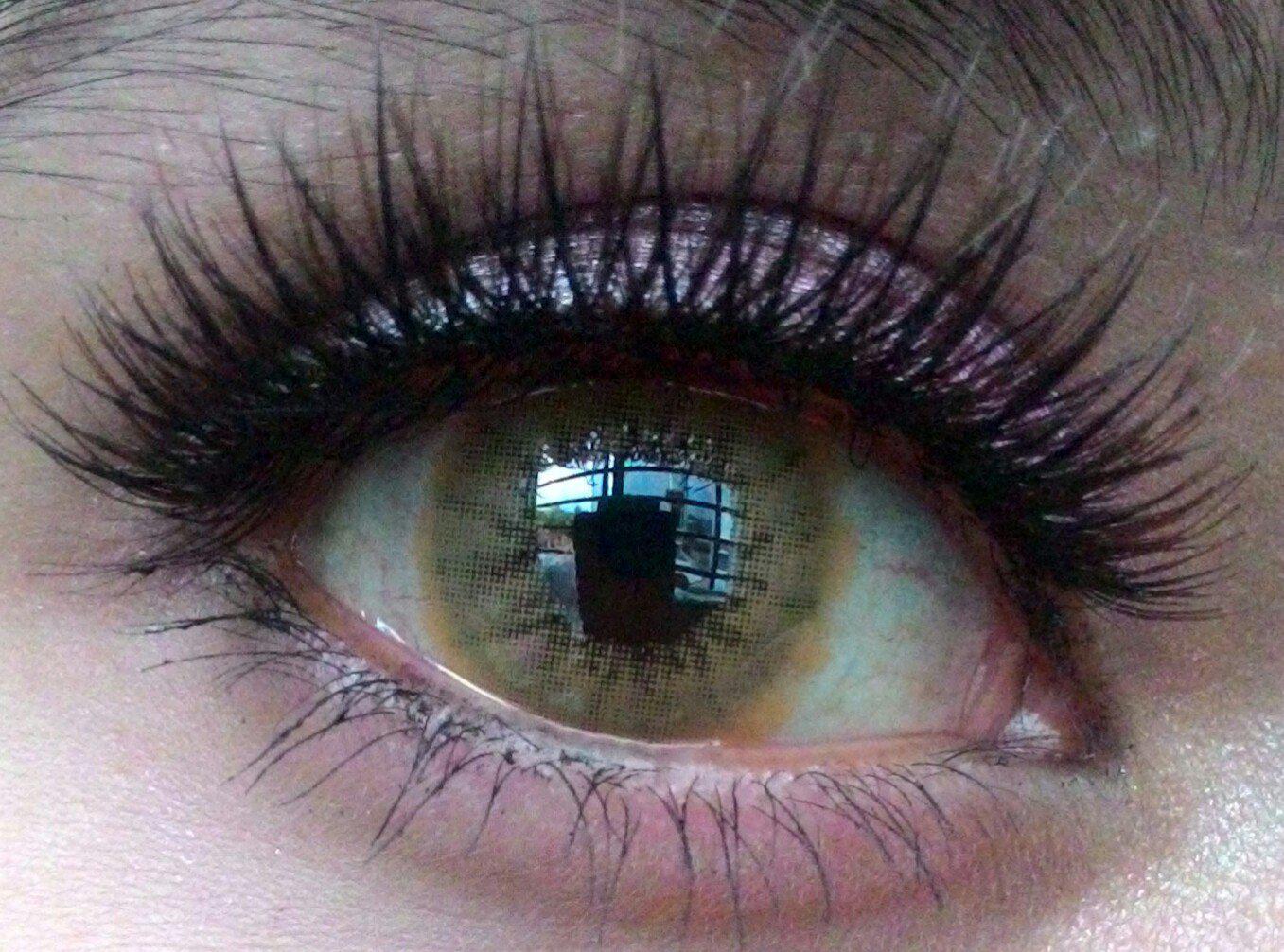Western Eyes Solotica Brown (1 lens/pack) [Exp: 04/2027]-Colored Contacts-UNIQSO