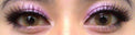 Western Eyes Solotica Brown (1 lens/pack) [Exp: 04/2027]-Colored Contacts-UNIQSO