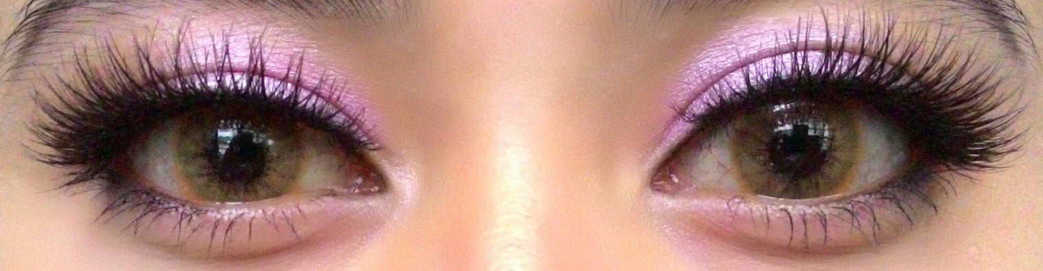 Western Eyes Solotica Brown (1 lens/pack) [Exp: 04/2027]-Colored Contacts-UNIQSO