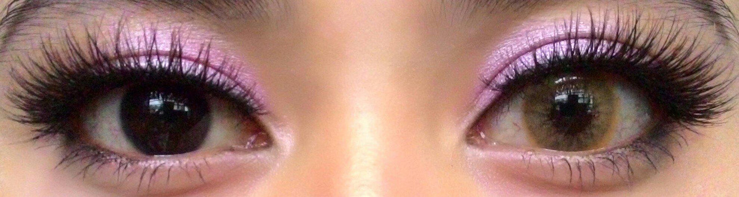 Western Eyes Solotica Brown (1 lens/pack) [Exp: 04/2027]-Colored Contacts-UNIQSO