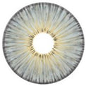 Urban Layer New York Grey (1 lens/pack)-Colored Contacts-UNIQSO