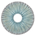 Urban Layer New York Jade- NEW (1 lens/pack)-Colored Contacts-UNIQSO