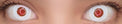 Western Eyes Crazy Humanoid Terminator (1 lens/pack)-Crazy Contacts-UNIQSO