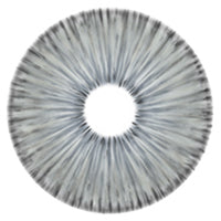 Urban Layer New York Grey - NEW (1 lens/pack)-Colored Contacts-UNIQSO