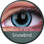 Phantasee Crazy Blue Snowbird (2 lenses/pack)-Crazy Contacts-UNIQSO