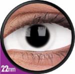 Sweety White Sclera Contacts Whiteout (1 lens/pack)-Sclera Contacts-UNIQSO