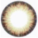 Kazzue Pro Coffee Brown (1 lens/pack)-Colored Contacts-UNIQSO