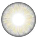 Urban Layer Orlando Grey (1 lens/pack)-Colored Contacts-UNIQSO